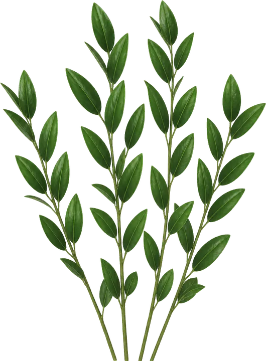 Decorative plant accent